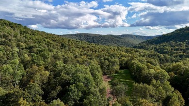 Lake Acreage For Sale in Long Eddy, New York