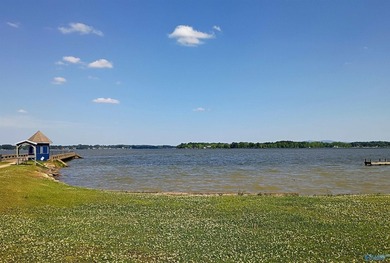 Experience Lake Life on the unique Alabama Belle! This 3rd floor - photo 20
