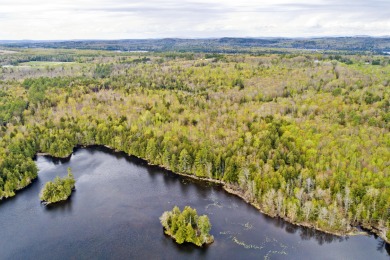 Lake Acreage For Sale in Mount Vernon, Maine