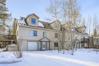 Dillon Reservoir Townhome/Townhouse Sale Pending in Frisco Colorado