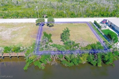 Absolutely wonderful direct Gulf access residential lot ready - photo 1