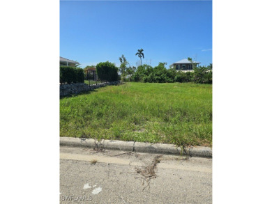 Absolutely wonderful direct Gulf access residential lot ready - photo 4