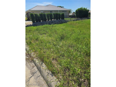 Absolutely wonderful direct Gulf access residential lot ready - photo 5