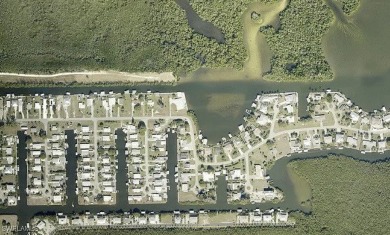 Absolutely wonderful direct Gulf access residential lot ready - photo 6