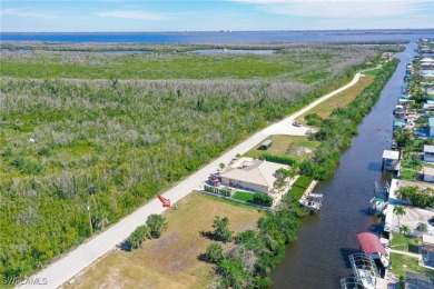 Absolutely wonderful direct Gulf access residential lot ready - photo 8