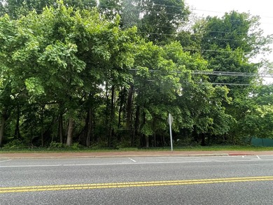 Prime J-2 Zoned Commercial Lot in Rocky Point! ( For refercene& - photo 2
