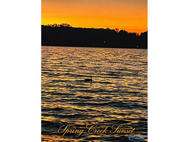 Your lake oasis awaits! No lot rent! No HOA fees! This 0.41 acre - photo 12
