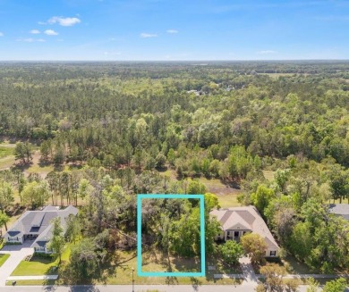 (private lake, pond, coastal) Lot For Sale in Brooksville Florida