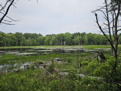 This 2.68 acre parcel has 437' of waterfront on the Ice Pond in - photo 1
