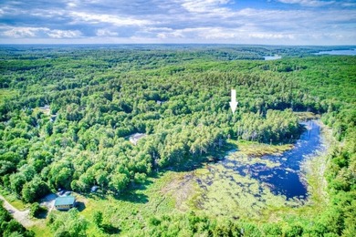 This 2.68 acre parcel has 437' of waterfront on the Ice Pond in - photo 2