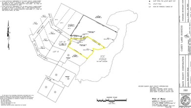 This 2.68 acre parcel has 437' of waterfront on the Ice Pond in - photo 3