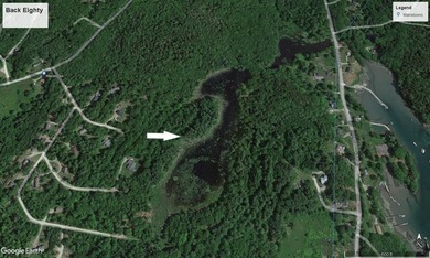 This 2.68 acre parcel has 437' of waterfront on the Ice Pond in - photo 4