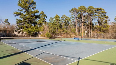 MAGNIFICENT MAIN LAKE VIEWS on beautiful Lake Cypress Springs! - photo 48