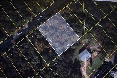 Million Dollar Lake Lot For Sale in Lake View Alabama