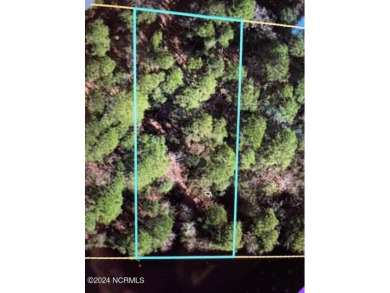 (private lake, pond, creek) Lot For Sale in Harrells North Carolina