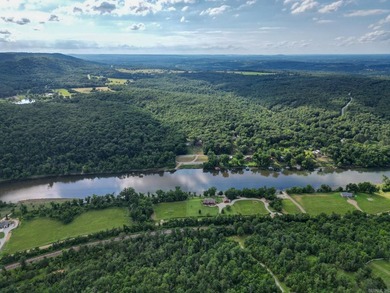 Discover 7.75 acres of mostly level Ozark beauty in White River - photo 11