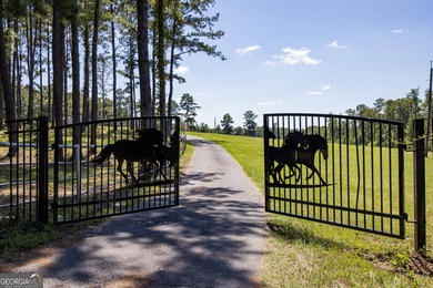 (private lake, pond, coastal) Home For Sale in Junction City Georgia