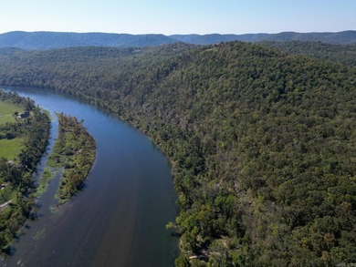 Discover 7.75 acres of mostly level Ozark beauty in White River - photo 14