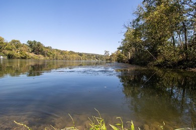 Discover 7.75 acres of mostly level Ozark beauty in White River - photo 21