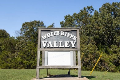 Discover 7.75 acres of mostly level Ozark beauty in White River - photo 22