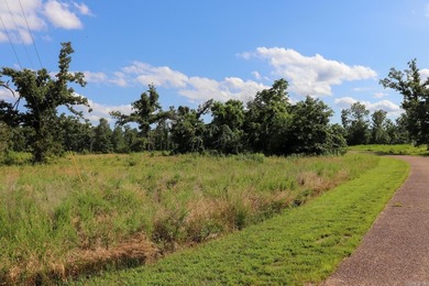 Discover 7.75 acres of mostly level Ozark beauty in White River - photo 23