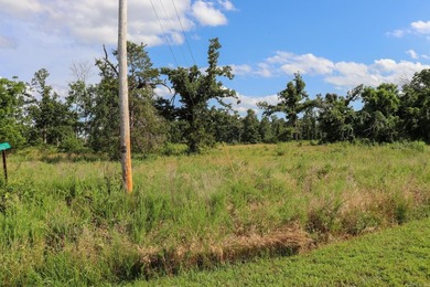 Discover 7.75 acres of mostly level Ozark beauty in White River - photo 24