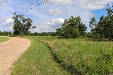 Discover 7.75 acres of mostly level Ozark beauty in White River - photo 25