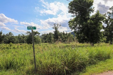 Discover 7.75 acres of mostly level Ozark beauty in White River - photo 26