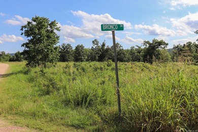 Discover 7.75 acres of mostly level Ozark beauty in White River - photo 27