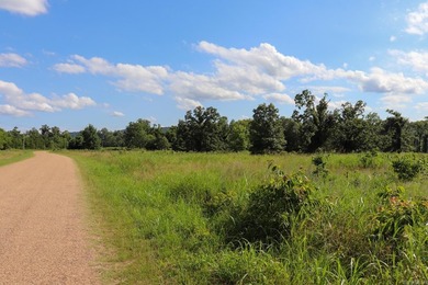 Discover 7.75 acres of mostly level Ozark beauty in White River - photo 29