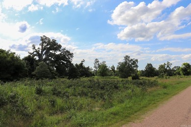 Discover 7.75 acres of mostly level Ozark beauty in White River - photo 30