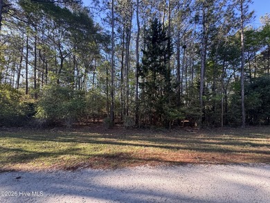 Beautiful 0.59-acre wooded lot in the Virginia Creek Forest - photo 3