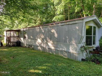 French Broad River Home For Sale in Del Rio Tennessee