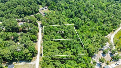 Beautiful 0.50-acre wooded lot in the Virginia Creek Forest - photo 3