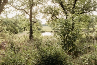 Build your dream home on this oversized .435-acre lot located in - photo 4