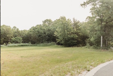 Build your dream home on this oversized .435-acre lot located in - photo 6
