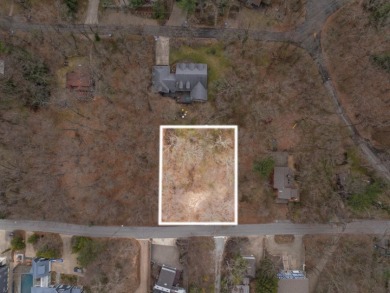 LAKE MICHIGAN ACCESS!  Buildable Lot - photo 2