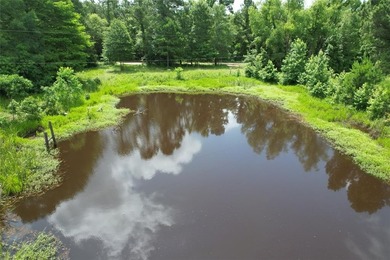 Lake Acreage For Sale in Grapeland, Texas
