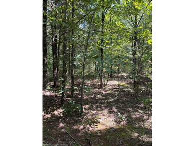 OWNER FINANCING AVAILABLE: Welcome to a remarkable real estate - photo 6