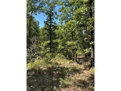 OWNER FINANCING AVAILABLE: Welcome to a remarkable real estate - photo 8