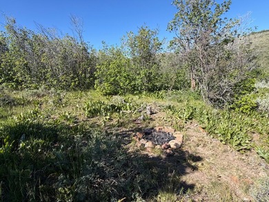 Partially wooded recreational Bear Lake Ranchettes lot with room - photo 2