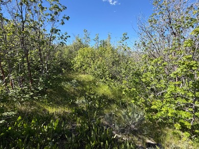Partially wooded recreational Bear Lake Ranchettes lot with room - photo 4