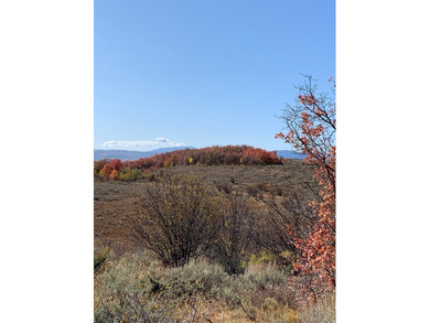 Partially wooded recreational Bear Lake Ranchettes lot with room - photo 10