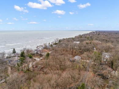LAKE MICHIGAN ACCESS!  Buildable Lot - photo 6