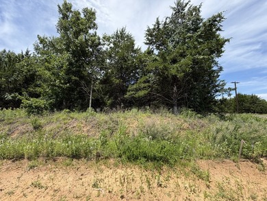 Build your dream home on this beautiful treed lot in the - photo 20