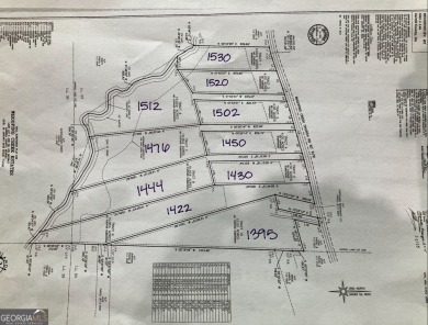 (private lake, pond, coastal) Home Sale Pending in Carrollton Georgia