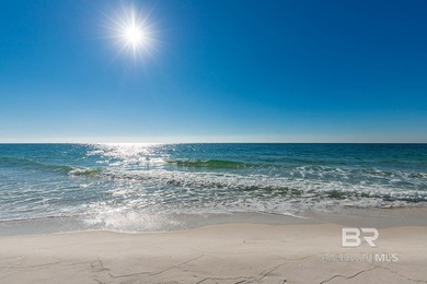 Gulf-Front Beauty in the Heart of Orange Beach - Phoenix I - photo 22