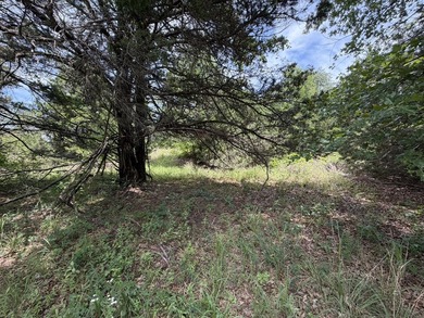 Build your dream home on this beautiful treed lot in the - photo 23