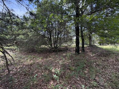 Build your dream home on this beautiful treed lot in the - photo 24
