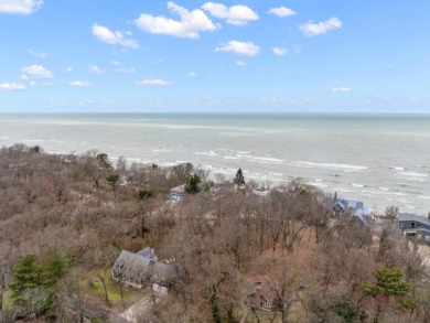 LAKE MICHIGAN ACCESS!  Buildable Lot - photo 7
